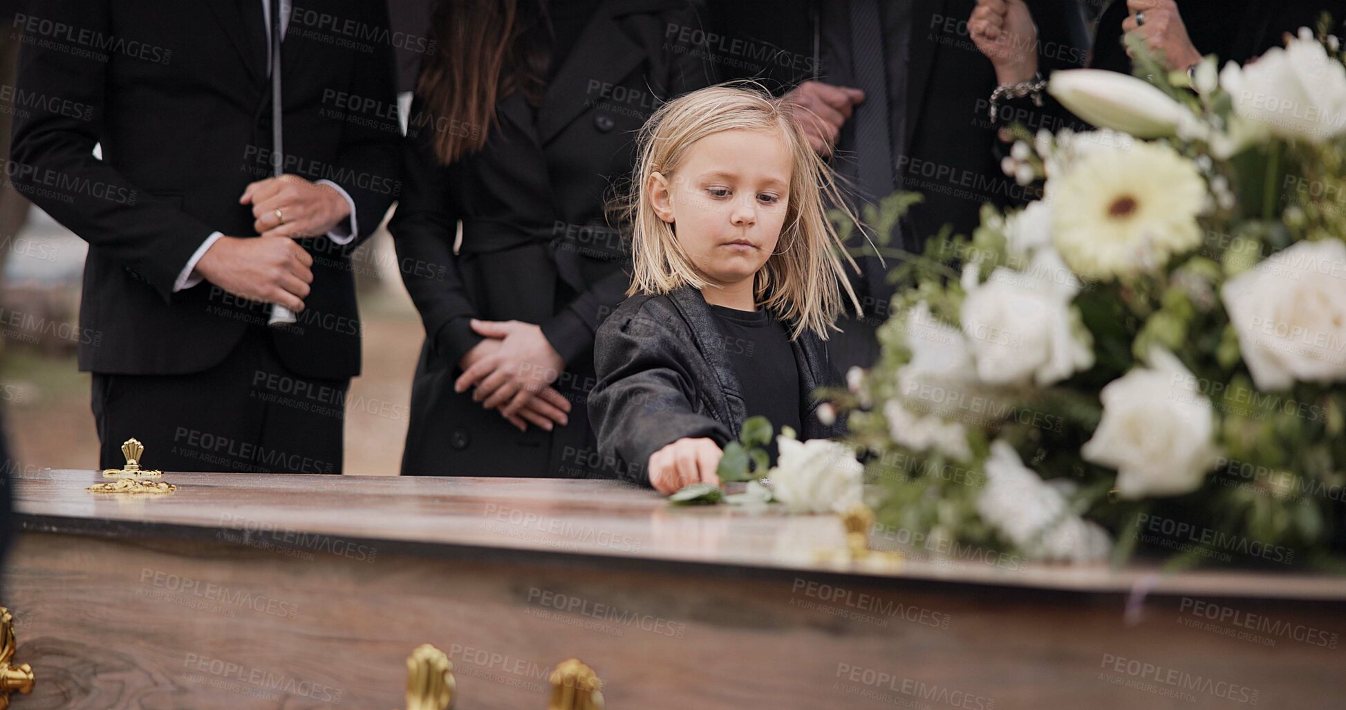 Buy stock photo Death, grief and girl at funeral with flower on coffin, family and sad child at service in graveyard for respect. Roses, loss and people at wood casket in cemetery with kid crying at grave for burial