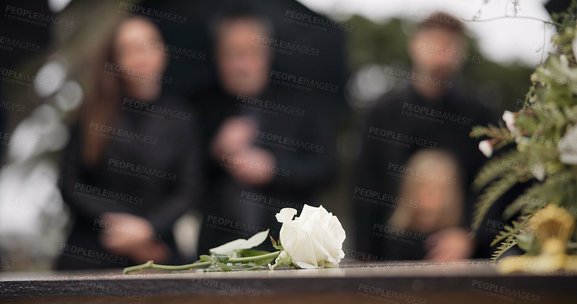 Buy stock photo Rose, coffin and funeral at cemetery outdoor at burial ceremony of family together at grave. Death, grief and flower on casket at graveyard for people mourning loss of life at floral farewell event.