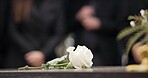 Funeral, rose and flower on coffin in cemetery for outdoor burial ceremony for mourning person in death, grief or remembrance. Graveyard, roses or flowers for respect on casket, grave or tombstone