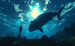 Scuba diving, underwater and diver swimming with a whale and exploring for marine adventure, hobby or vacation activity. Beautiful, blue and clear ocean for travel and environmental discovery