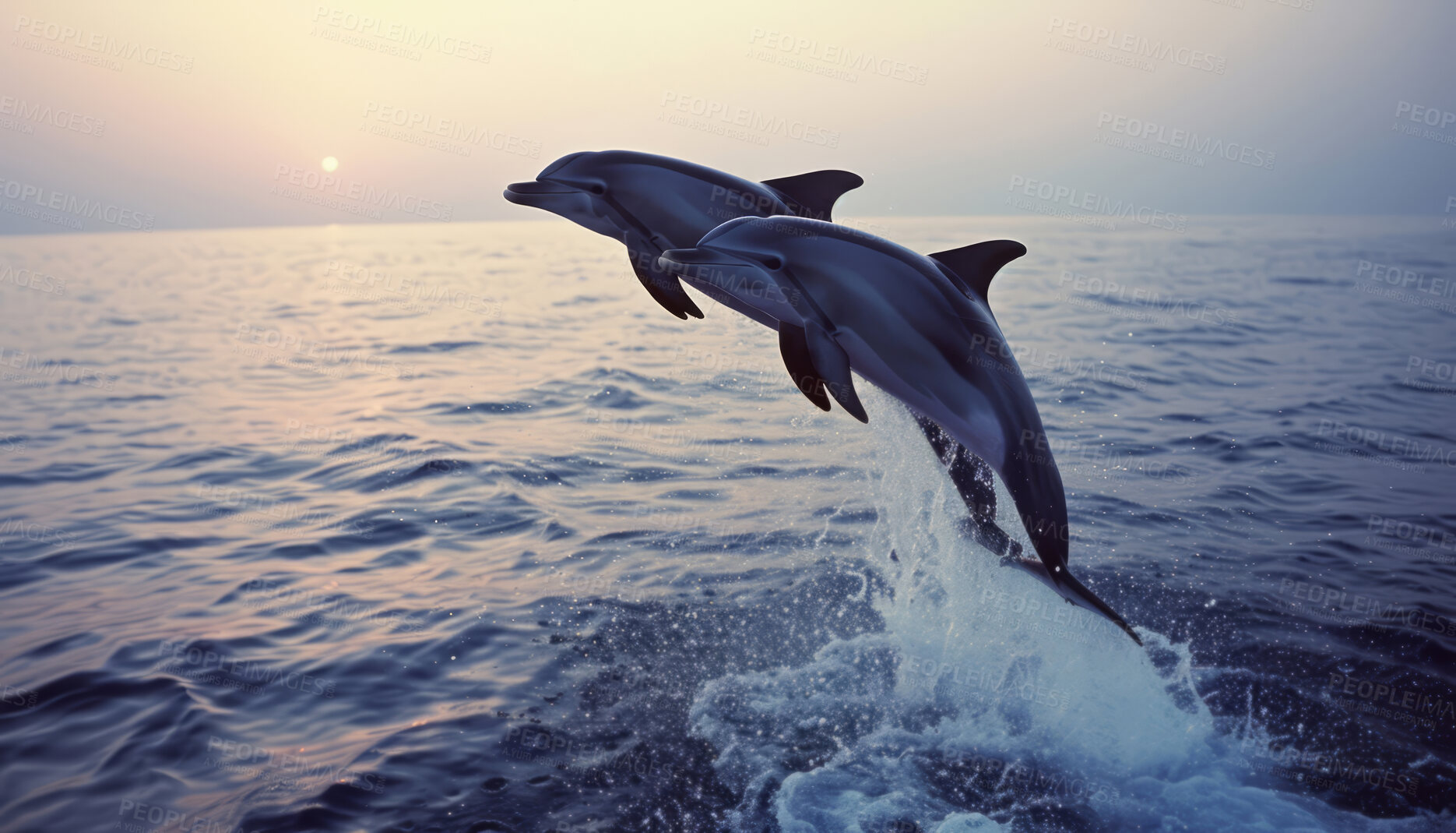 Buy stock photo Summer sunset, ocean and dolphin leaping out of the water for paradise, vacation or wildlife scene. Beautiful, tropical and seascape wallpaper or backdrop for environment, marine life and eco system