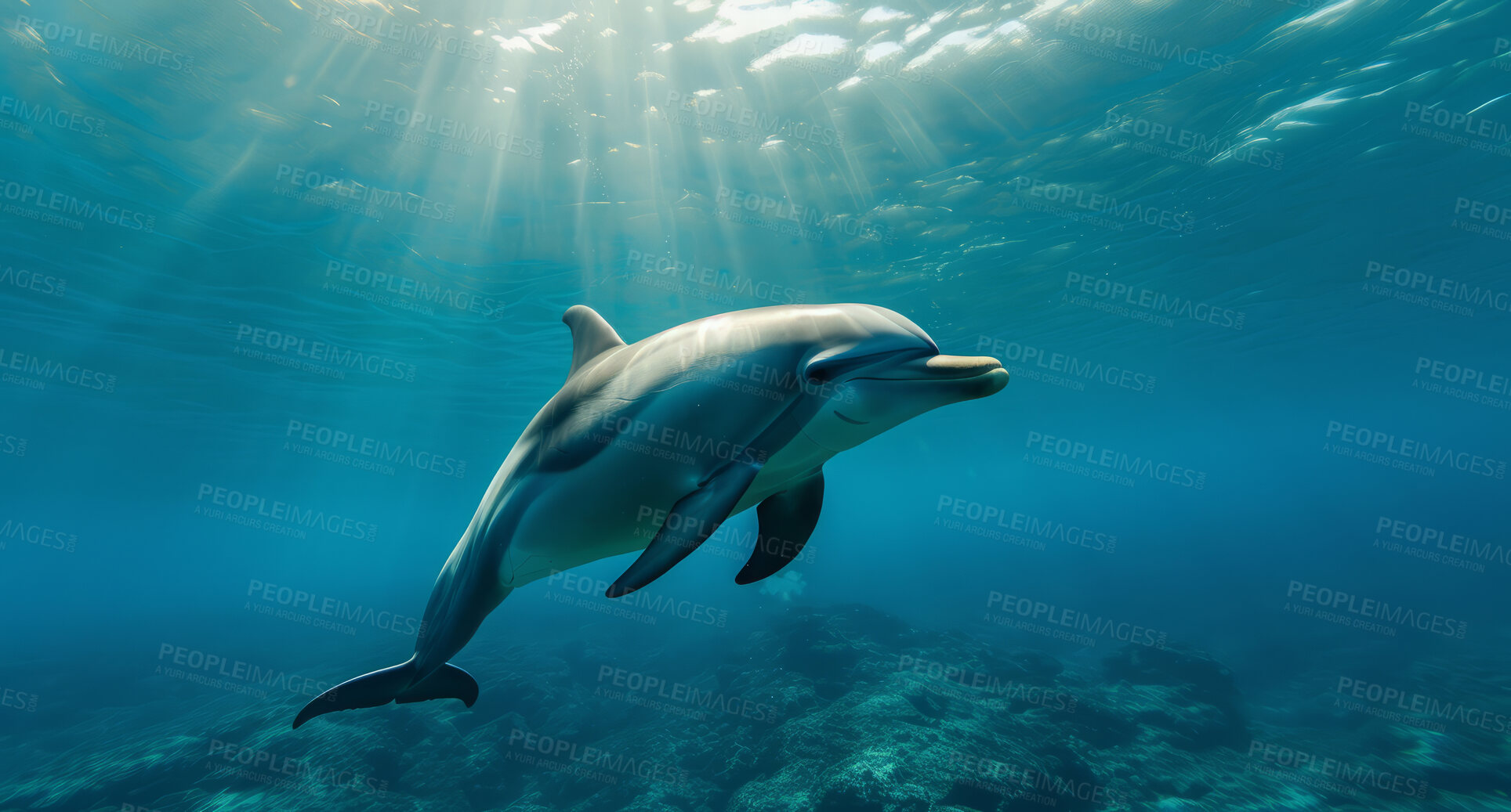 Buy stock photo Ocean, sea and dolphin swimming underwater in clear water for tourism, holiday adventure and travel. Blue, peaceful and beautiful scene of wildlife in their habitat for environment and eco system