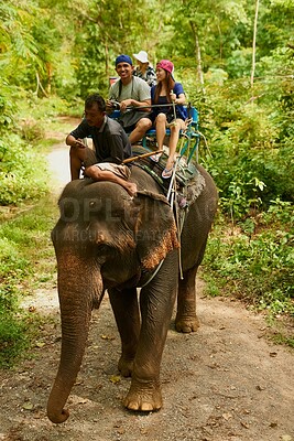 Buy stock photo Shot of an elephant with a group of tourists riding on its back