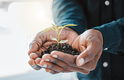 Buy stock photo Hands, soil and person with plant for growth, ecology and environment with eco friendly investment for business. Nature, leaves and fertilizer zoom for sustainable development and carbon capture