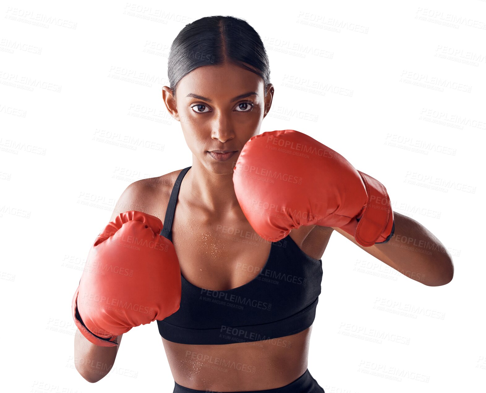 Buy stock photo Boxing, fight and portrait of woman with gloves for sports exercise, strong muscle and mma training. Fitness, boxer workout and serious person for battle on png, isolated and transparent background