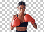 Boxing, fitness and portrait of woman in studio for sports exercise, strong muscle or mma training. Indian female, boxer champion and gloves for impact, energy and warrior power in battle challenge