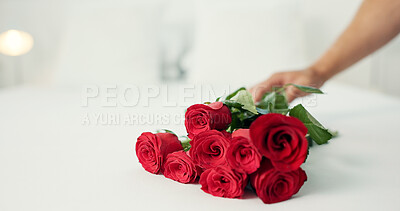 Red roses, table and person hand with valentines day present and gift for love and commitment, Flowers, bouquet and floral arrangement with surprise on a bed in a home for giving for an anniversary