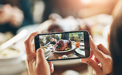 Buy stock photo Cropped shot of a woman taking a picture of a turkey on a dining table