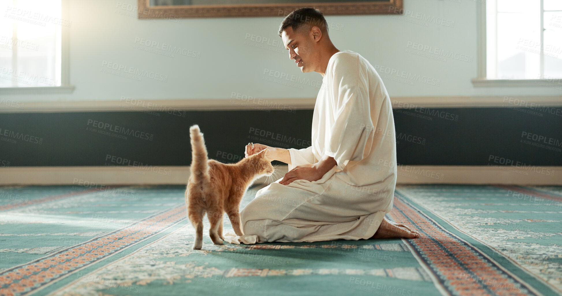 Buy stock photo Cat, islamic and man with pet in a mosque for praying, peace and spiritual care in holy religion for Allah. Respect, gratitude and Muslim person with kindness for animal or kitten after worship