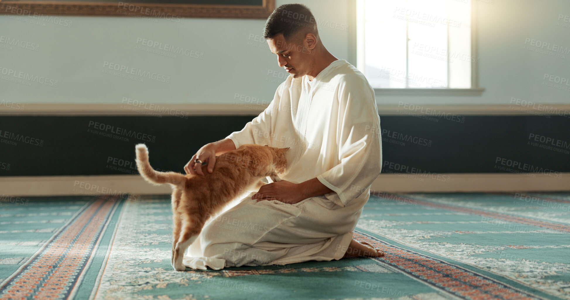 Buy stock photo Cat, islamic and man with pet in a mosque for praying, peace and spiritual care in holy religion for Allah. Respect, gratitude and Muslim person with kindness for animal or kitten after worship