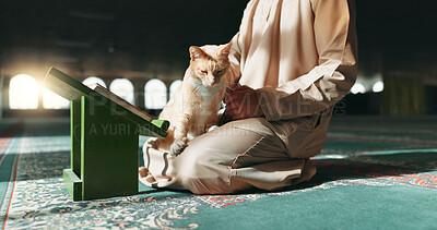 Muslim, person and cat in a mosque during praying, worship or comfort while reading on the floor. Holy, religion and an Islamic man with a pet or animal during spiritual study, learning or relax