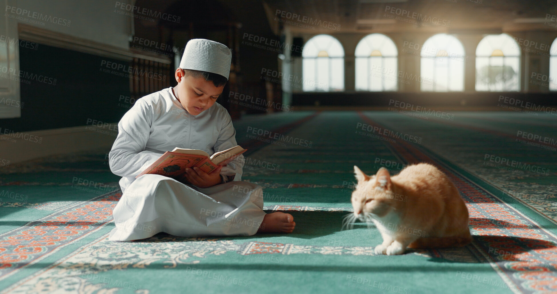 Buy stock photo Quran, islamic and child in a mosque for praying, peace and spiritual care in holy religion for Allah. Reading book, Ramadan or Muslim kid with a cat animal, hope or gratitude to study or worship God