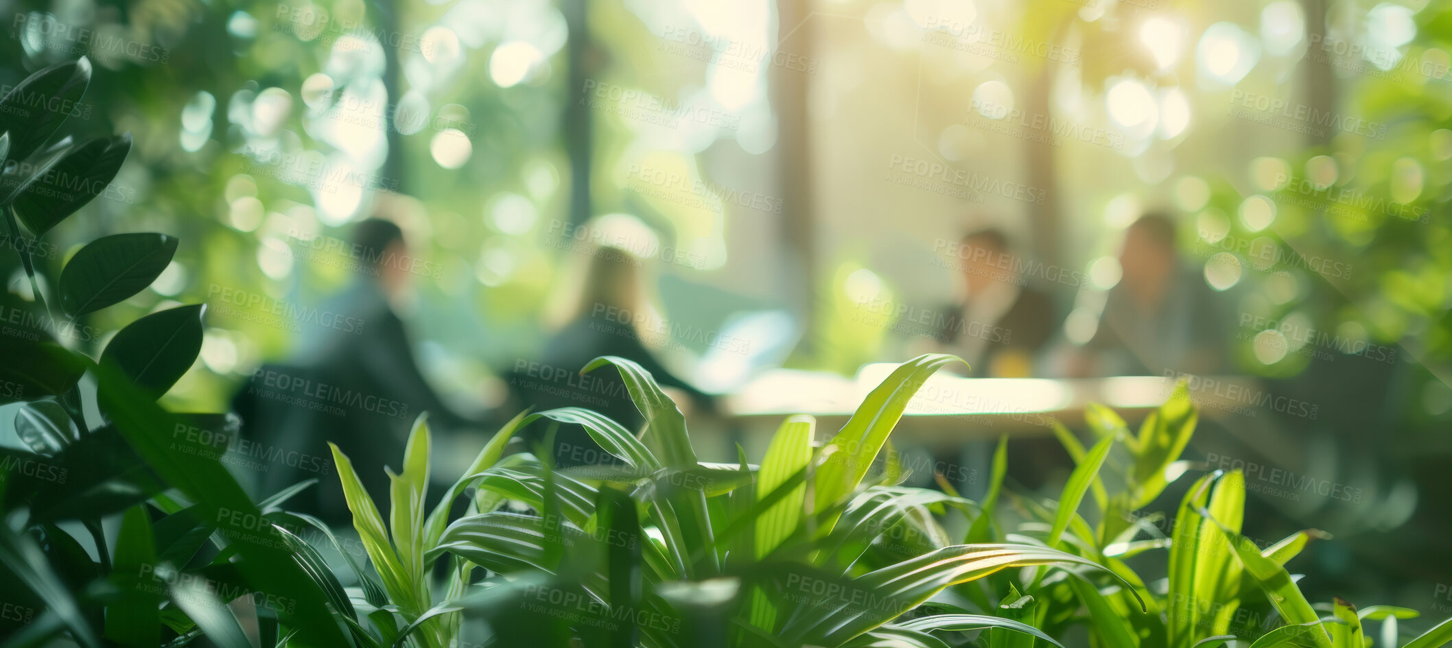 Buy stock photo Group, boardroom and business meeting in an office for collaboration, teamwork and sustainability. Blurry, green and silhouette people sitting together for meeting and leadership in nature workplace