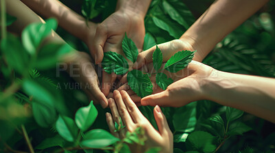 Buy stock photo Hands, group or plant for nature sustainability, eco friendly mockup for growth or environmental sustainability. Earth day, climate change or sustainable future for organic farming or poster design
