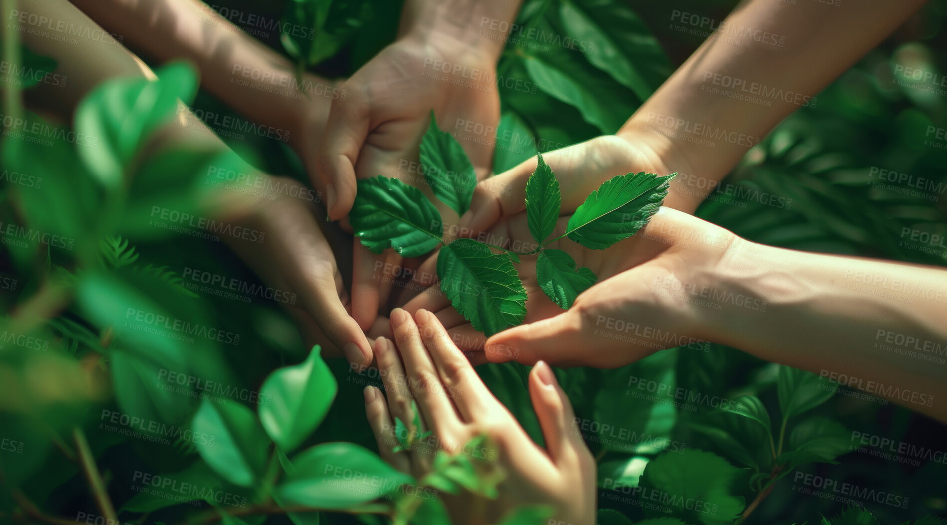 Buy stock photo Hands, group or plant for nature sustainability, eco friendly mockup for growth or environmental sustainability. Earth day, climate change or sustainable future for organic farming or poster design