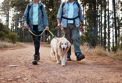 Buy stock photo Forrest, nature and old couple walking dog on path in mountain in Australia for fitness and exercise. Travel, man and woman on hike with Labrador pet, love and health on retirement holiday adventure.