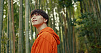 Man, Japanese and forest explore or travel in bamboo woods, nature or outdoor. Male person, trees and peace thinking in summer for sunlight exercise or wellness trip experience, adventure or holiday