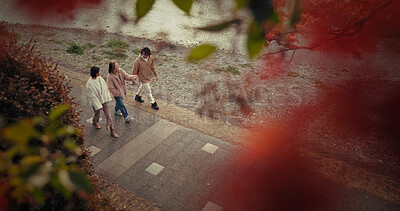 Buy stock photo People, walking or talking in city in above by autumn leaves or happiness for bonding in nature. Friends, discussion or together in steps on sidewalk, red maple tree or care in tokyo town for travel