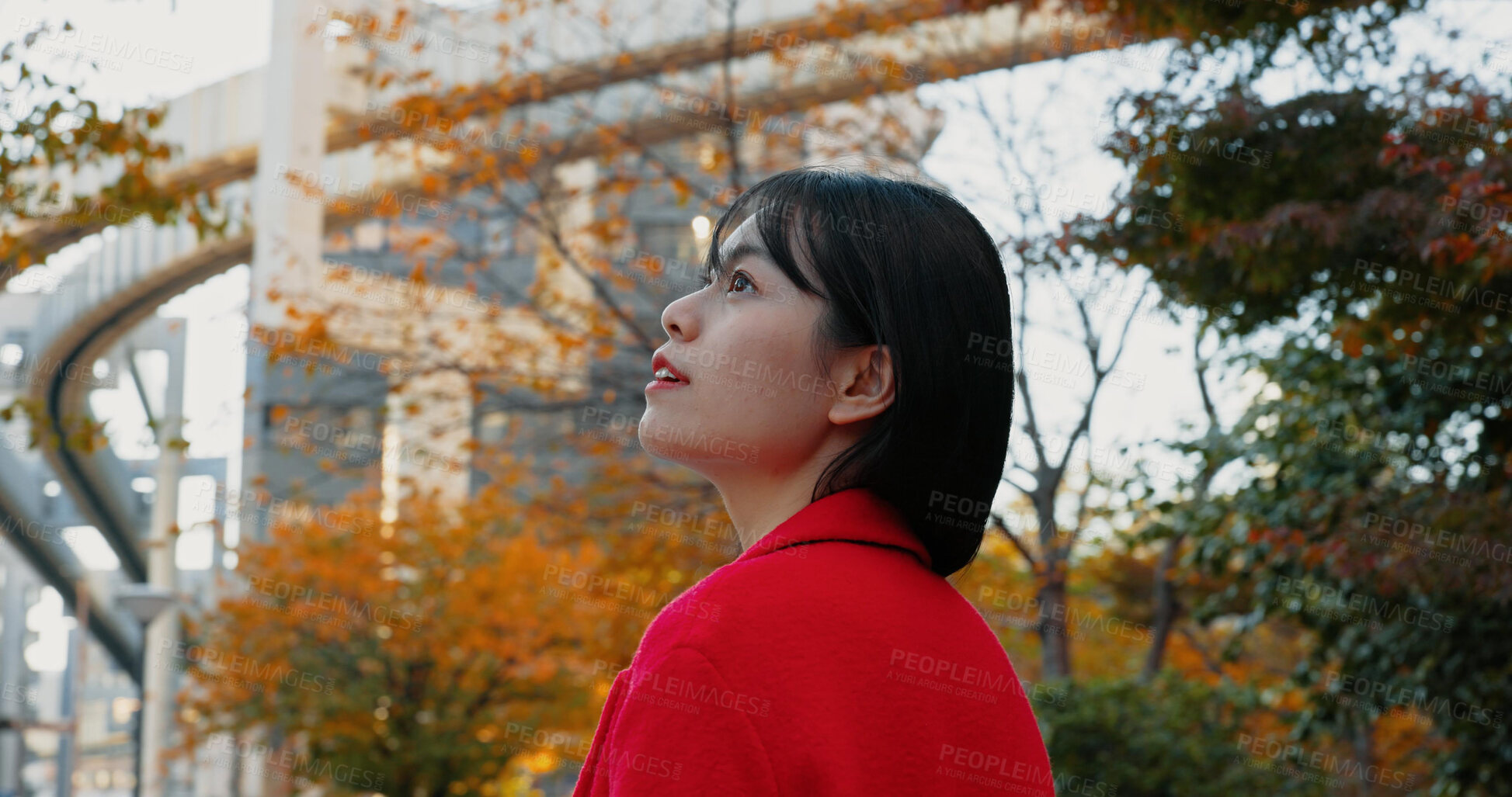 Buy stock photo Thinking, outdoor and Japanese woman in city for travel by train in autumn with trees and happiness. Park, nature and business person in Tokyo to commute in morning on subway metro transportation