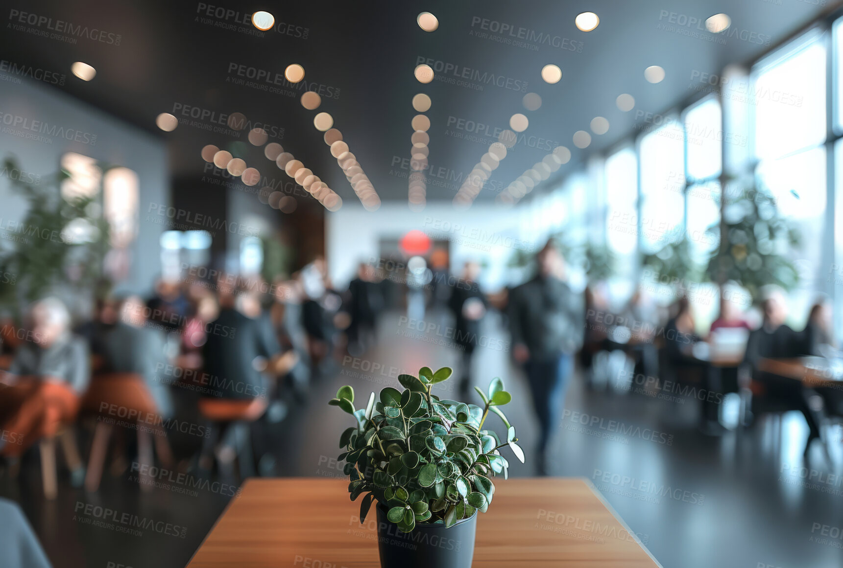 Buy stock photo Office, plant and business place of people working in cafeteria, boardroom with large space. bokeh, silhouette and blurry background for meeting, company and conference in modern times