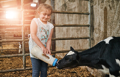 Buy stock photo Cropped shot of an adorable little girl feeding a calf in a dairy farm