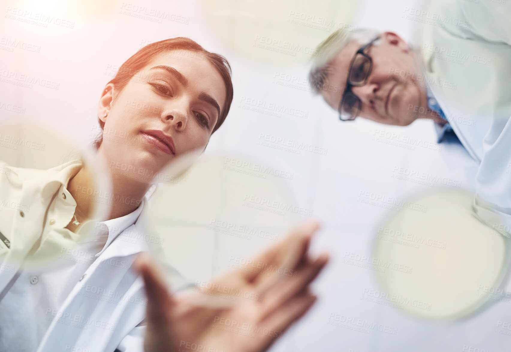 Buy stock photo Petri dish, science and teamwork with people in laboratory from below for innovation or research. Breakthrough, discovery or experiment with man and woman scientist at work for cure or vaccine