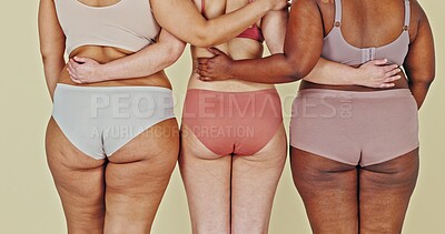 Body positive, underwear butt and women hug, solidarity and fashion choice, natural beauty or inclusion. Woman empowerment, back of friends or lingerie shape size, panties or ass on studio background