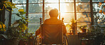 Wheelchair, elderly and senior looking out of window. Woman, female and pensioner in the living room with sunset backdrop. Sadness, longing and depressed for mental health, reminiscing and background.