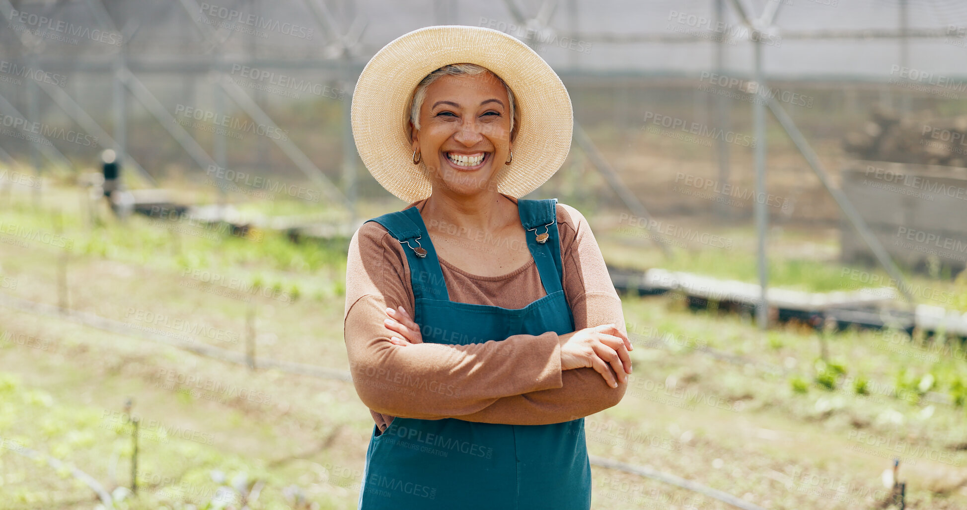 Buy stock photo Farmer, mature or face of happy woman with arms crossed or pride in agriculture farming or gardening. Nature, land or business owner with organic crops or food production in eco friendly greenhouse