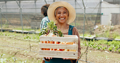 Farming, vegetables and mature woman with box in greenhouse for agriculture or supply chain. Smile, produce and portrait of female farmer with crate for gardening sustainable food in environment.