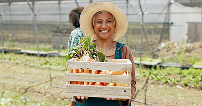 Buy stock photo Farming, vegetables and mature woman with box in greenhouse for agriculture or supply chain. Smile, produce and portrait of female farmer with crate for gardening sustainable food in environment.