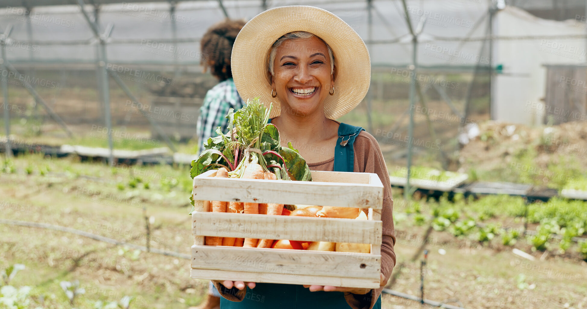 Buy stock photo Farming, vegetables and mature woman with box in greenhouse for agriculture or supply chain. Smile, produce and portrait of female farmer with crate for gardening sustainable food in environment.