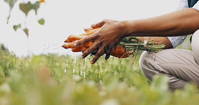 Buy stock photo Washing, hands and carrots for agriculture on farm, gardening and vegetables growth for nutrition. Agro industry, organic crops and growing with water to clean, healthy food and harvesting in field