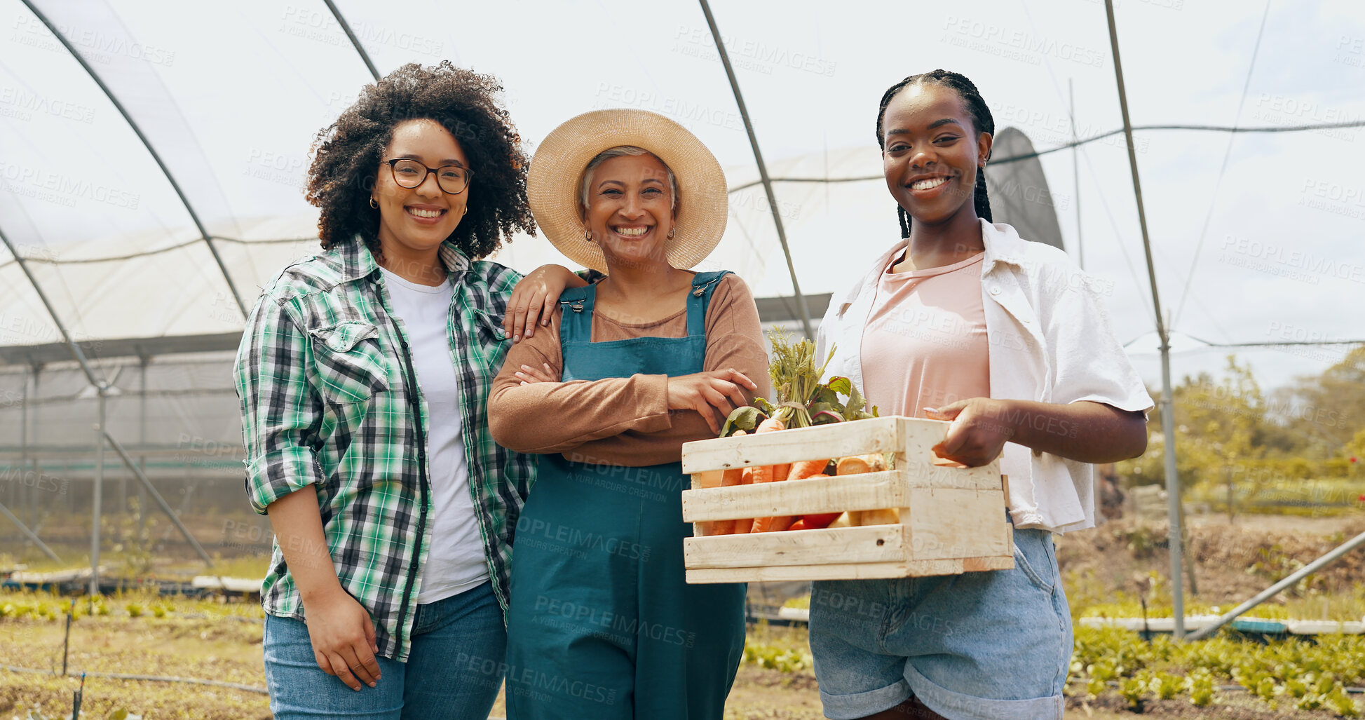 Buy stock photo Farm, agriculture or face of women with basket of vegetables, harvest or fresh produce. Farming sustainability, greenhouse or happy farmers with teamwork or crate of organic, natural and healthy food