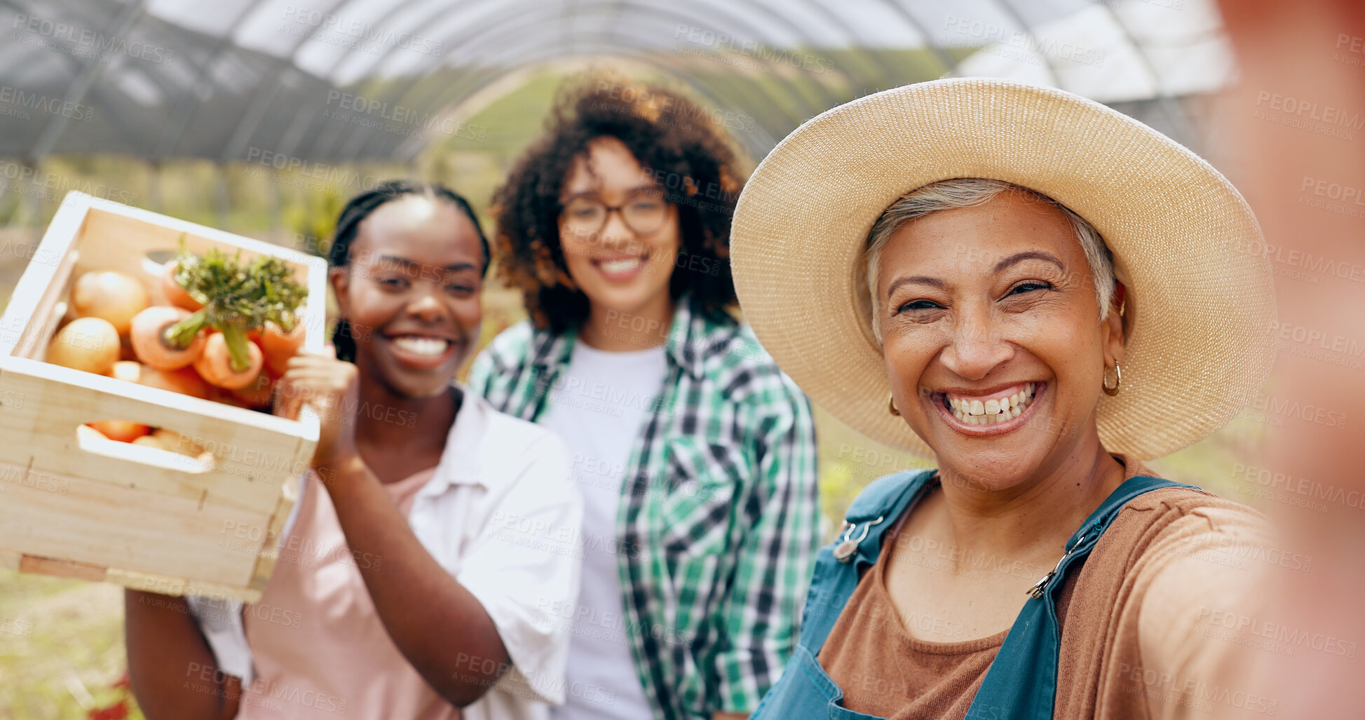 Buy stock photo Farm, selfie and women in a greenhouse for vegetable harvest, agriculture or small business. Sustainability, face or happy farmer team in nature for agro profile picture, social media or startup blog