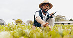 Black man, tablet and farming in greenhouse for harvest, production or inspection of crops or resources in nature. African male person with technology in agriculture for natural or fresh produce