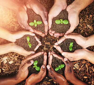 Buy stock photo Hands, people and soil with plants, teamwork and environment with climate change activist. Closeup, outdoor and group with ecology, future and earth day with support, sustainability and eco friendly