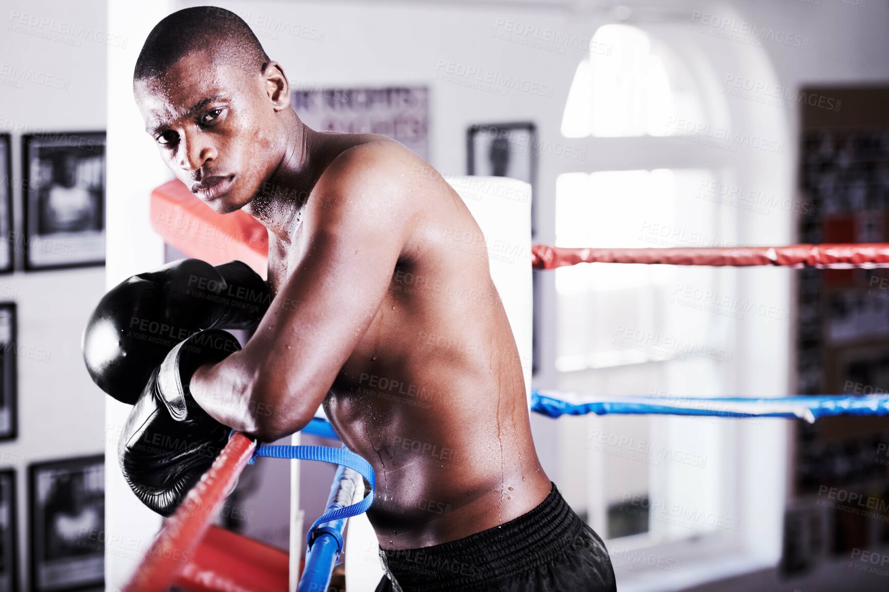 Buy stock photo Boxing, confidence and portrait of black man in ring with fitness, power and workout challenge at sports club. Strong body, face of athlete or boxer in gym with sweat and gloves in competition fight.