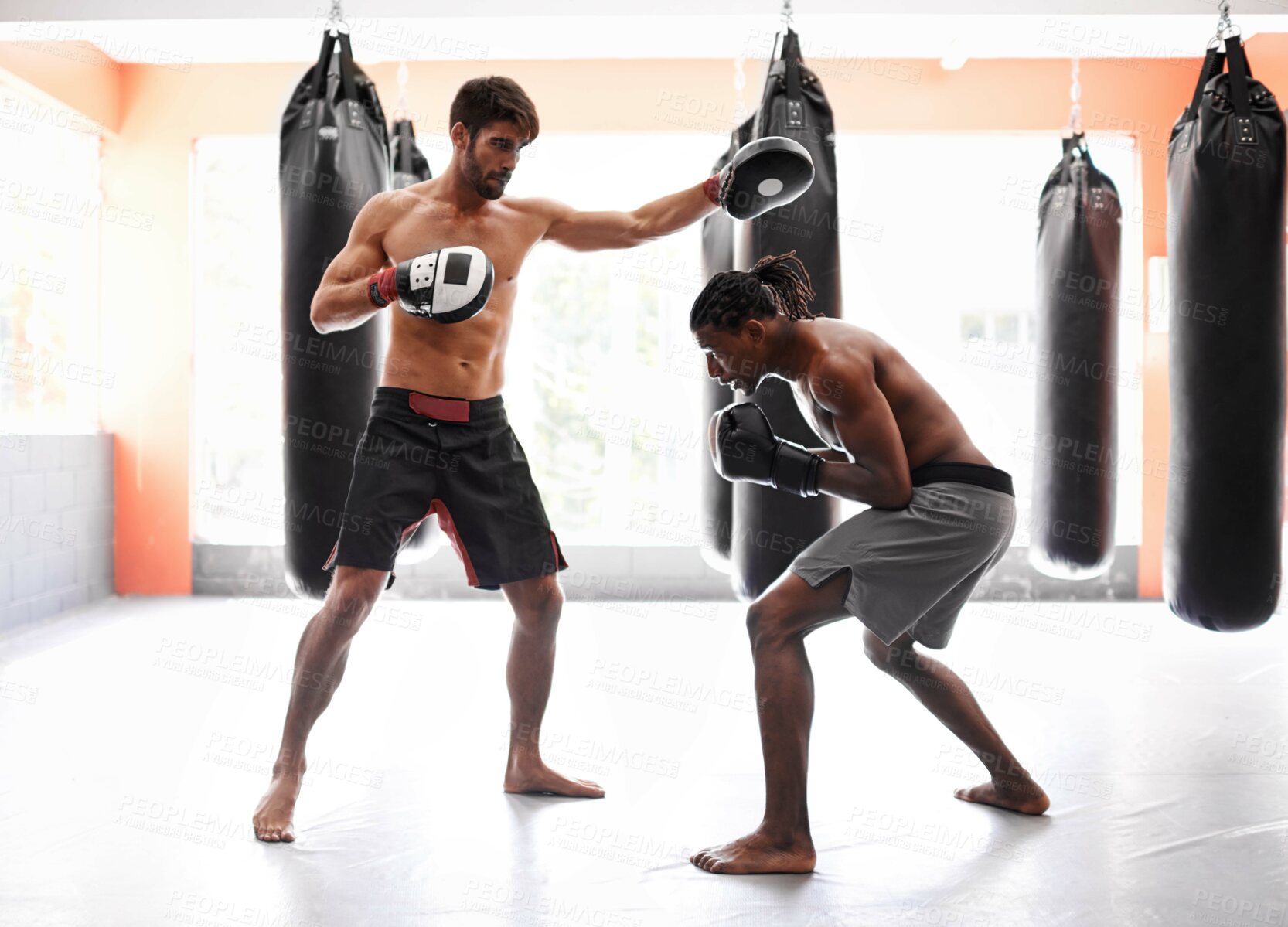 Buy stock photo Men, boxing and competition with punch for fight practice for endurance challenge, champion or winner. Male people, gloves and cardio fitness with strength for battle professional, athlete or sport