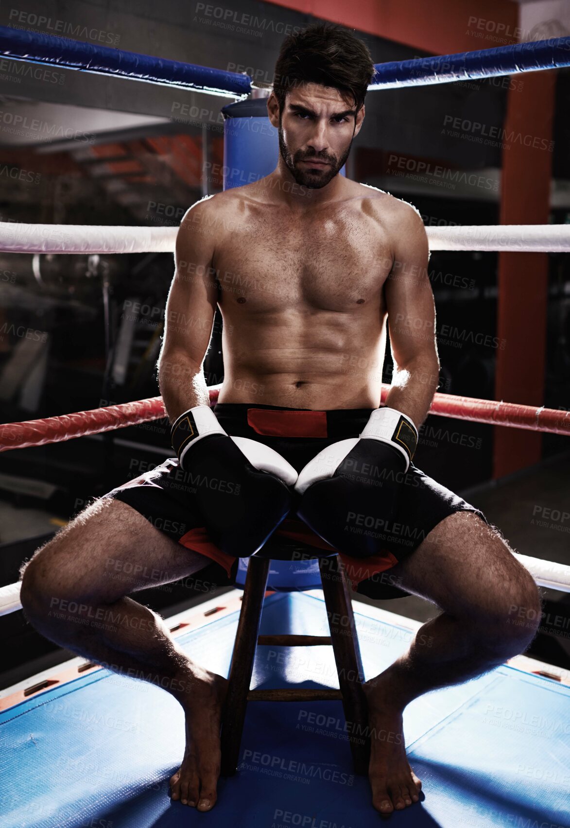 Buy stock photo Man, portrait and boxer ready in ring for performance challenge, fight and match or competition. Male person, gloves and shirtless in arena for training, fitness and athlete for sitting in chair