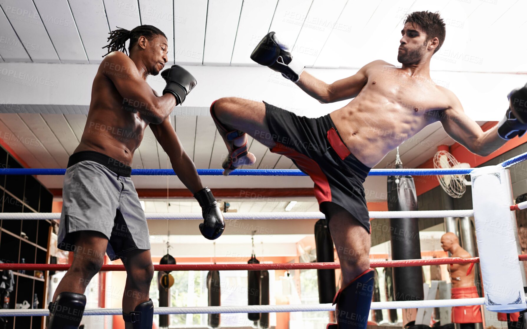 Buy stock photo Black male boxer, ring and shirtless for sport, match and portrait with braids and gym with gloves. Boxing male person, sport and training gear for mma, exercise and fitness for workout and fight