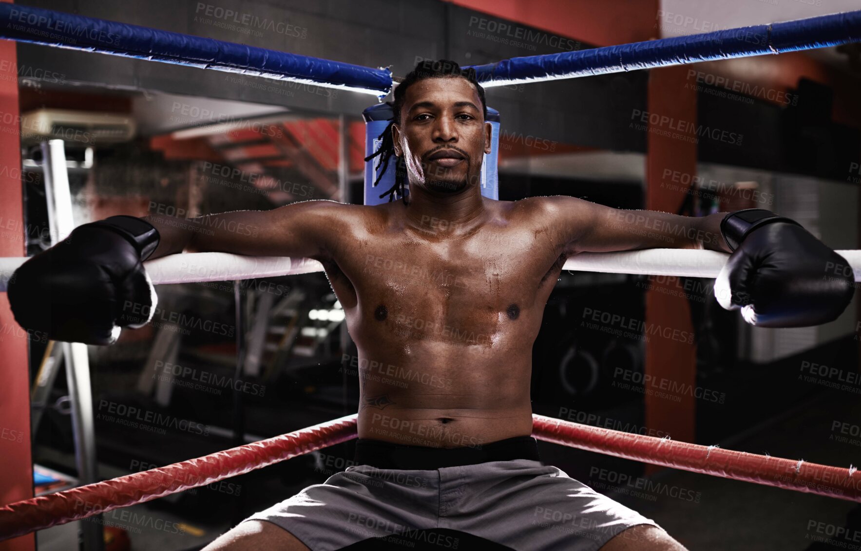 Buy stock photo Boxing male person, ring and gym for sport, match and portrait with braids and shirtless with gloves. Black male boxer, sport and training gear for mma, exercise and fitness for workout and fight