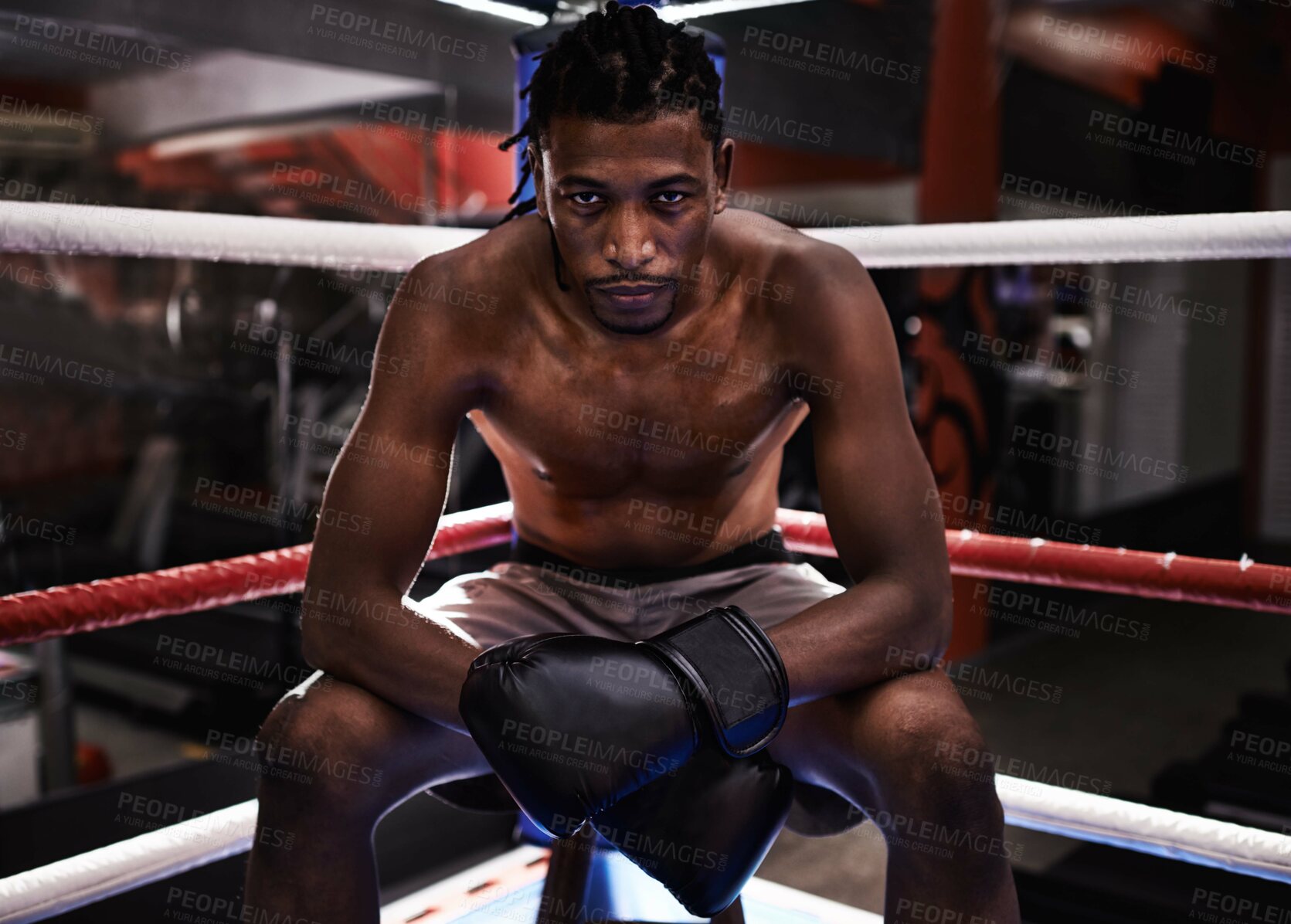 Buy stock photo Black male boxer, ring and gym for sport, match and portrait with braids and shirtless with gloves. Boxing man, wellness and training gear for mma, exercise and fitness for workout and fight