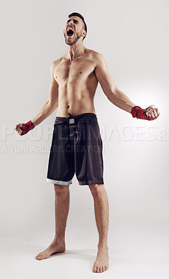 Buy stock photo Shout, MMA and male fighter for martial arts, boxing and angry on white background. Fist, athlete and muscle from exercise for man kickboxer, studio and training for impact sports competition 