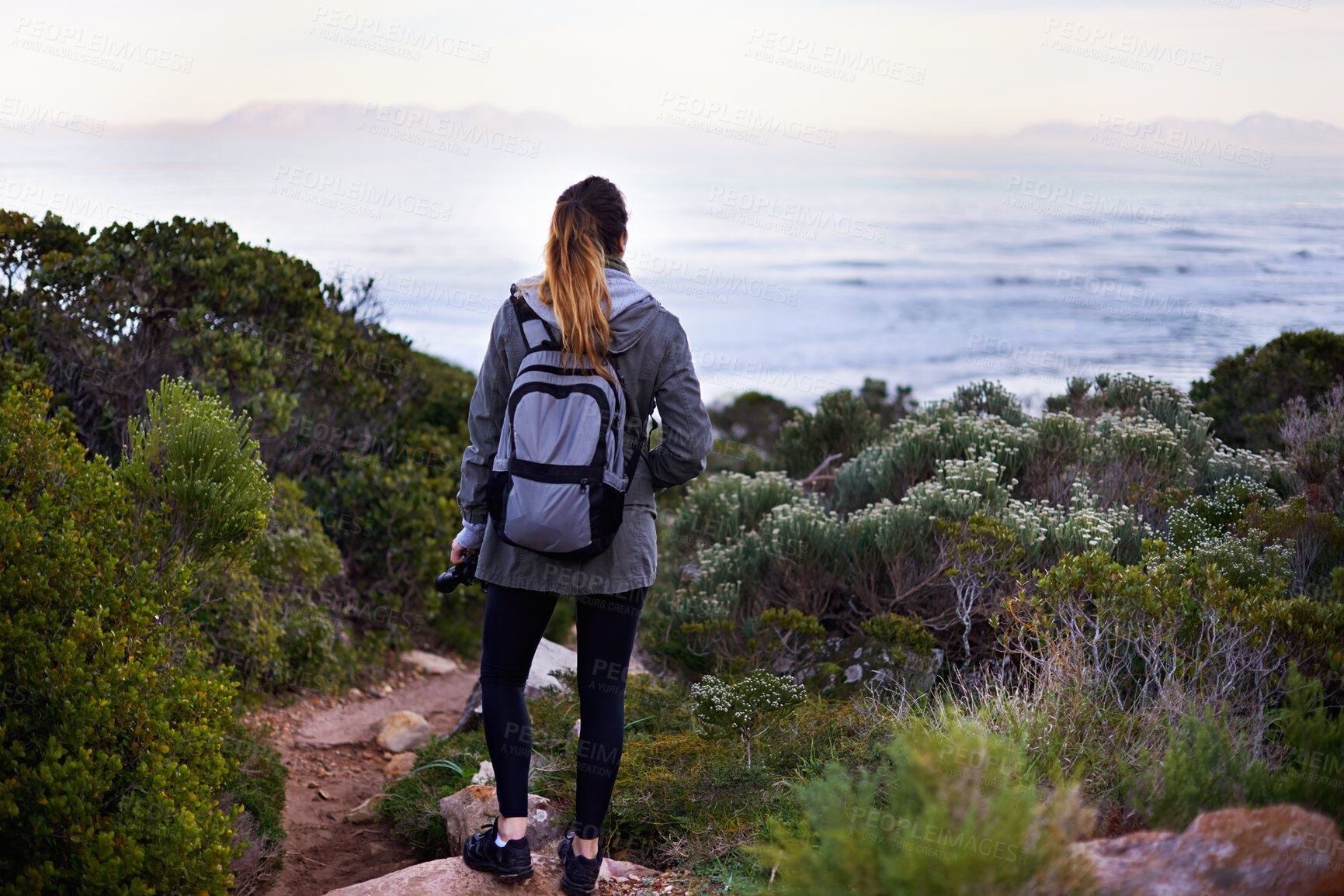 Buy stock photo Woman, woods and hiking for adventure in beach for leisure or fitness routine as exercise and hobby. Female person, outdoor and forest for workout in trail for nature, peace and health on holiday 