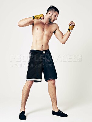 Buy stock photo Man, strong and ready to fight, protect or compete in combat sports for workout and self defence. Mma athlete, healthy and fit for exercise, training or practice for professional battle in studio 