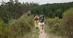 Friends, women in woods and hiking, back in nature and point at view with walking and travel together. Adventure, journey and fitness, sightseeing in park for tourism, environment and backpacking