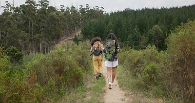 Friends, women in woods and hiking, back in nature and point at view with walking and travel together. Adventure, journey and fitness, sightseeing in park for tourism, environment and backpacking