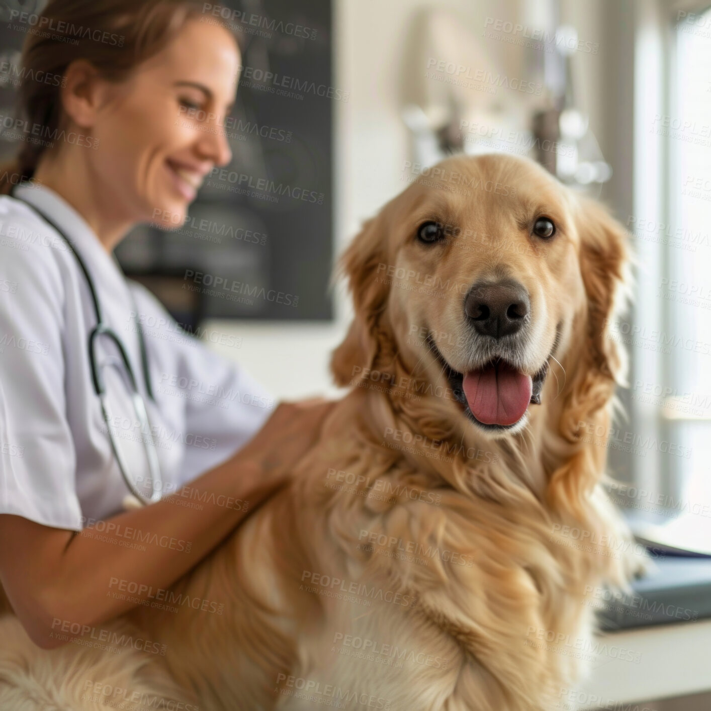 Buy stock photo Vet, woman and portrait of dog on table for hospital consultation, medical attention and pet care. Animal doctor, checkup and happy golden retriever at veterinary clinic for help, health and wellness