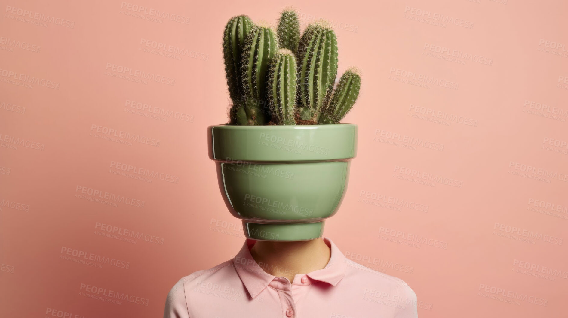 Buy stock photo Plant, growth or man in studio with cactus for small business, idea or sustainability on plain background. Natural, art or model thinking green behind succulent for sustainable living or earth day